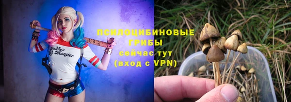 мяу мяу мука Богданович