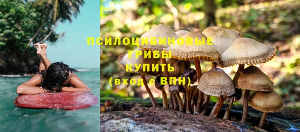 гашишное масло Богородск