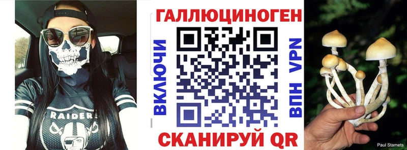 Галлюциногенные грибы Cubensis  Купино 